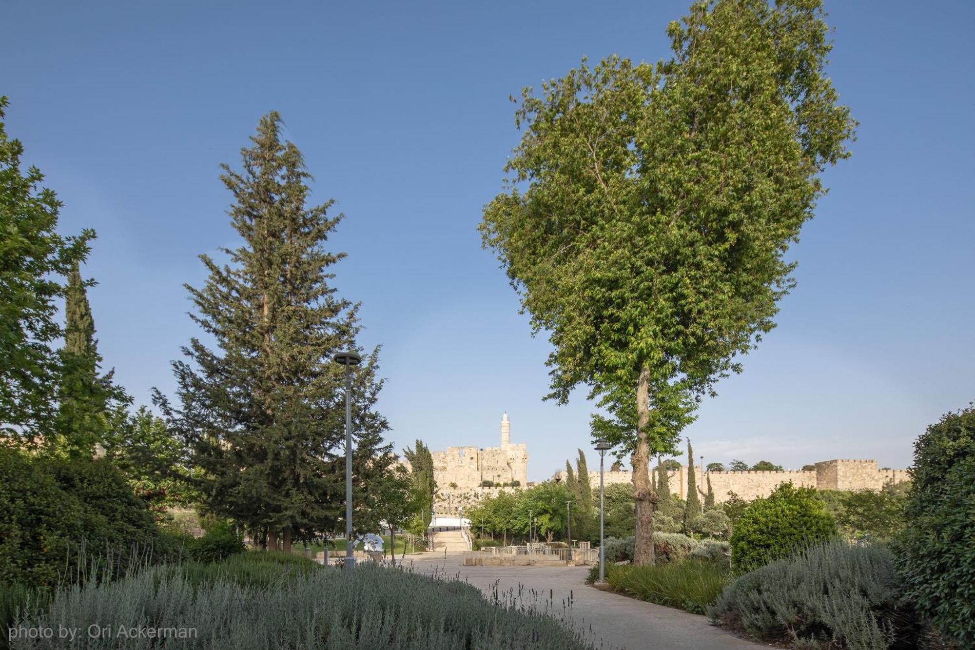 David Village Residences - Israel